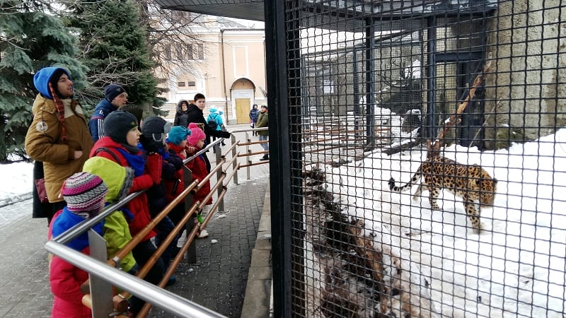 moskovskij zoopark 1
